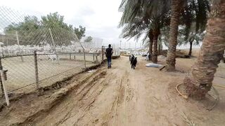 MASHA ALLAH Saudi Aurbia ki Bakrian