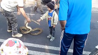 Snakes and kids