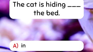 Basic English grammar  Learn English grammar
