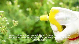 Precautions for the safe use of natural insecticides