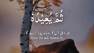 Tilawat Quran pak voice of Abdull Rehman massod  short video of febspot (2024)