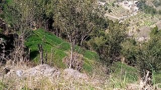 Beautiful Kpk Dir lower