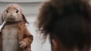 Rabbit funny movie