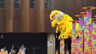 舞獅比賽中最難的技巧。#liondance #festival #chinatiktok #fypshi.