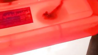Little incubator