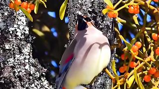 Neture is better let's mood fress