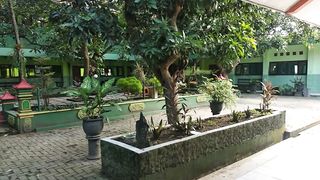 Green trees