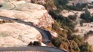 animated wallpapers