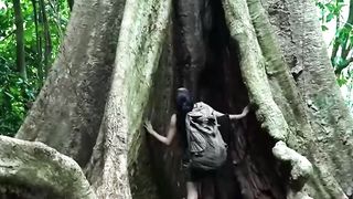 單人營地 - 睡在一棵大樹的樹蔭下,半夜一條蛇滑進來#relax #
