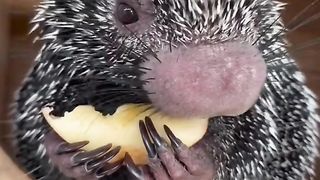 好吃