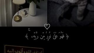 ماهر المعيقلي تلاوة خاشعة