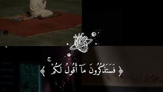 القرآن الكريم