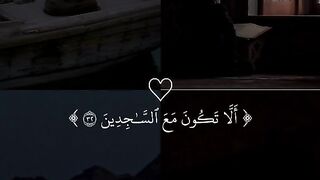 تلاوة هادئة