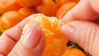 MAKE CAKE MIXED FRUID