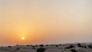 Dubai paradise