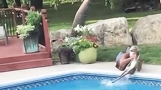 A man saved a baby deer and then it became his friend