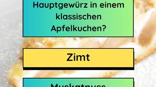 Apfelkuchen