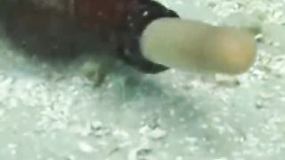 الكائن الوحيده في العالم اللي محدش يقدر يحبسه مهما حصل ????.