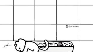 How some cats go to the tray