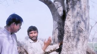 Funny video
