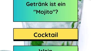 Mojito Getränke