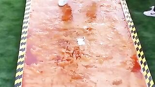 Can a Giant Glue Trap Catch a Human