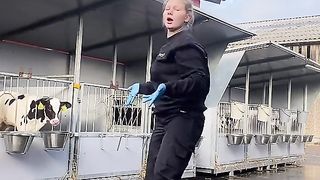 When work is fun