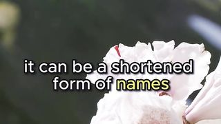 Meaning Of The Name "Mia" origins, and unique characteristics.