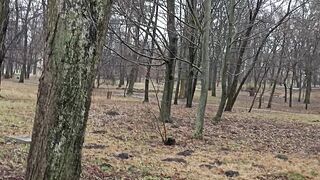 I'm filming a park for a video