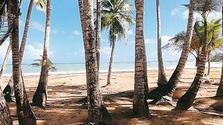 Unveilling  the Enigma : Expedition throught Hawai