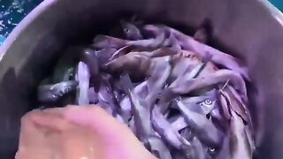 It’s time to eat. Beluga whale eats fish. Little fish in Hutan.