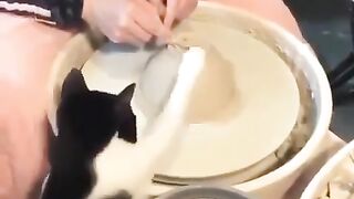 Fluffy potter's assistant