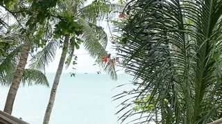 Voyage Uncveiled : Exploring  Hawai