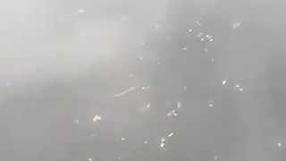 Friendship of a Polish guy with a frog