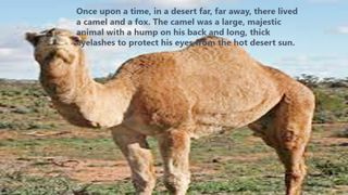 A camel & Fox in the desert