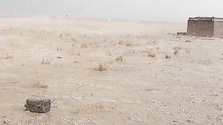 قدرت الله