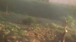 Rural abode