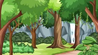 cartoon videos amazing video