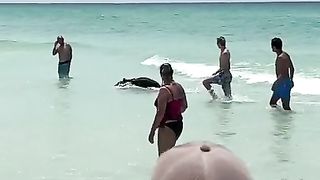 The appearance of a bear on the beach in Florida