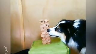 #funny