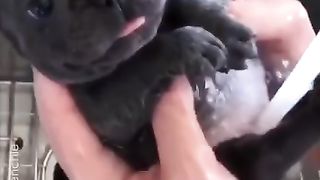 #funny