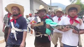 The mayor of a Mexican town married a crocodile, hoping to attract rain