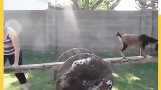 #funny