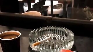 كل عام وانتم بخير
