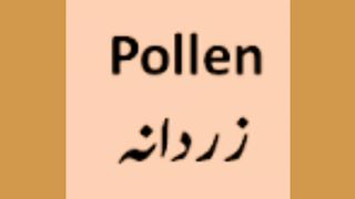 Quick learning Simple English Words