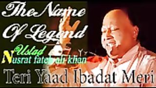 Teri yaad ibadat meri by nusrat fateh ali khan