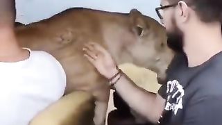 he just wants some love ❤️