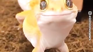 #funny