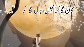 Khamoshi or dil