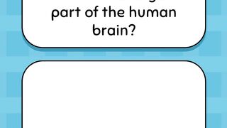 Brain parts and Difficulty Breathing  - Quiz 13